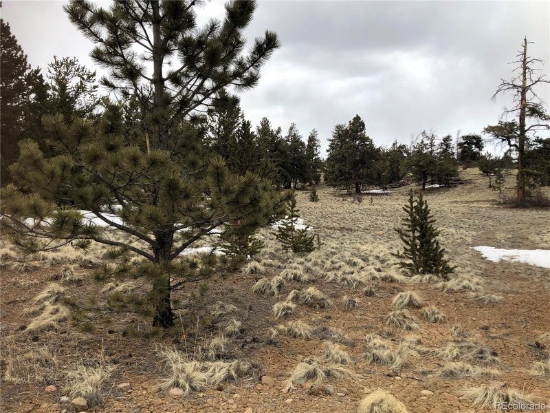133 Joyce Ln, Hartsel, CO 80449