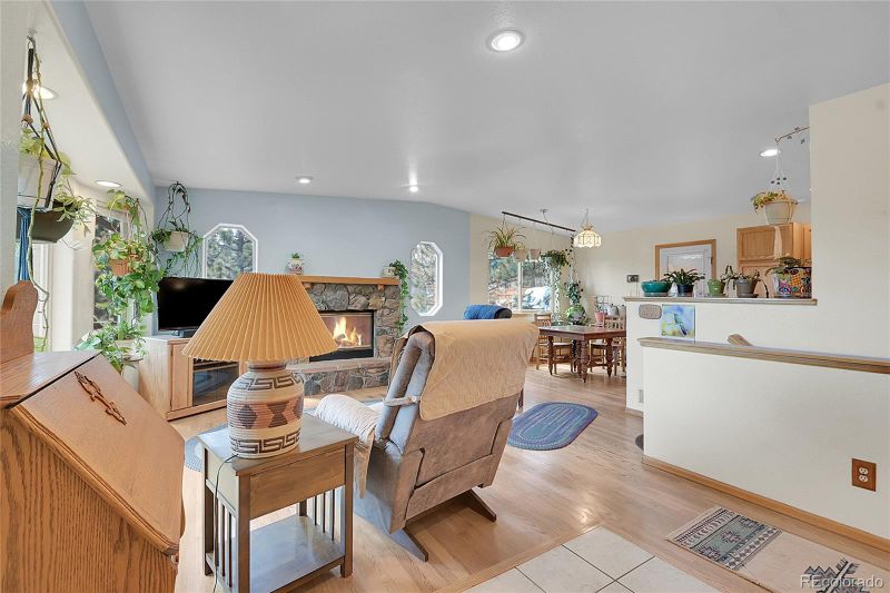 519 Beaver Trl, Bailey, CO 80421