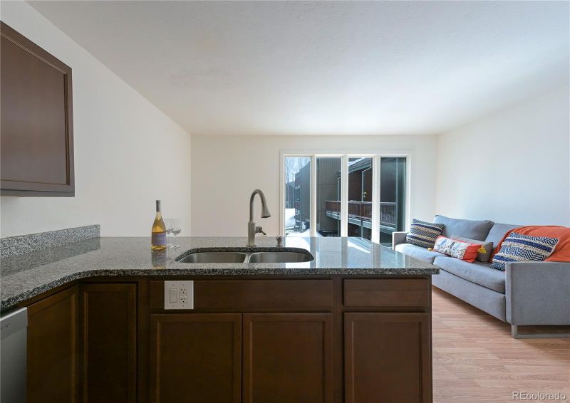 3622 Ryan Gulch, Silverthorne, CO 80498