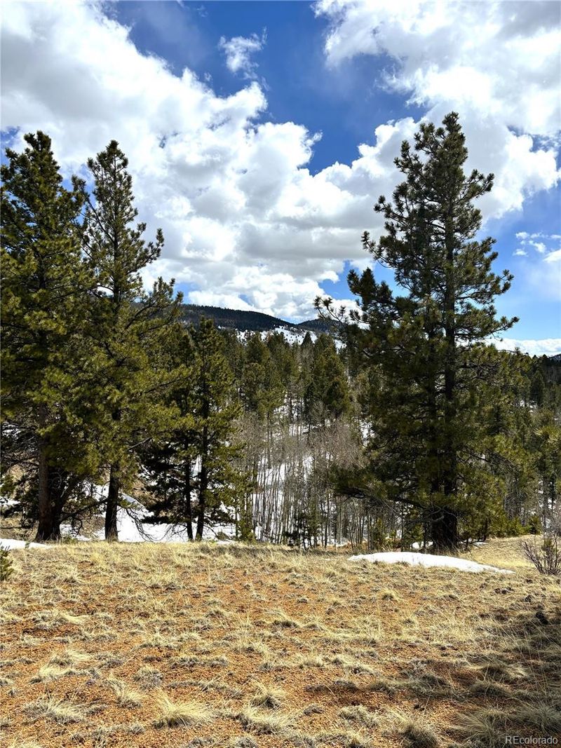 114 May Queen Cir, Cripple Creek, CO 80813