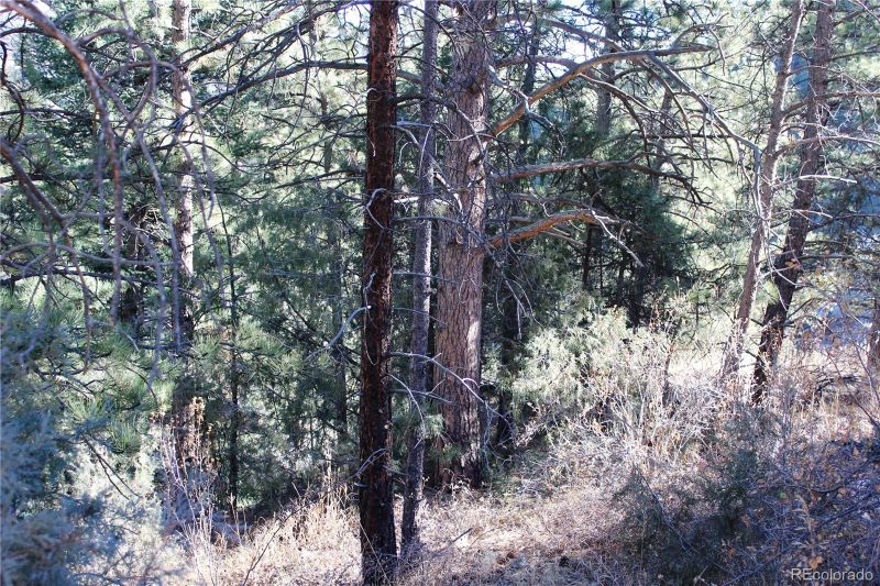 Lot A Pine Slope Rd Lot A, Idaho Springs, CO 80452