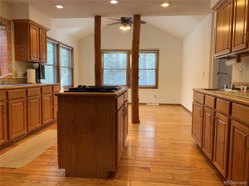 1299 County Road 4, Leadville, CO 80461