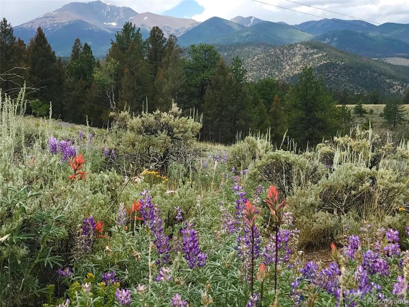 1057 County Road 200, Poncha Springs, CO 81242