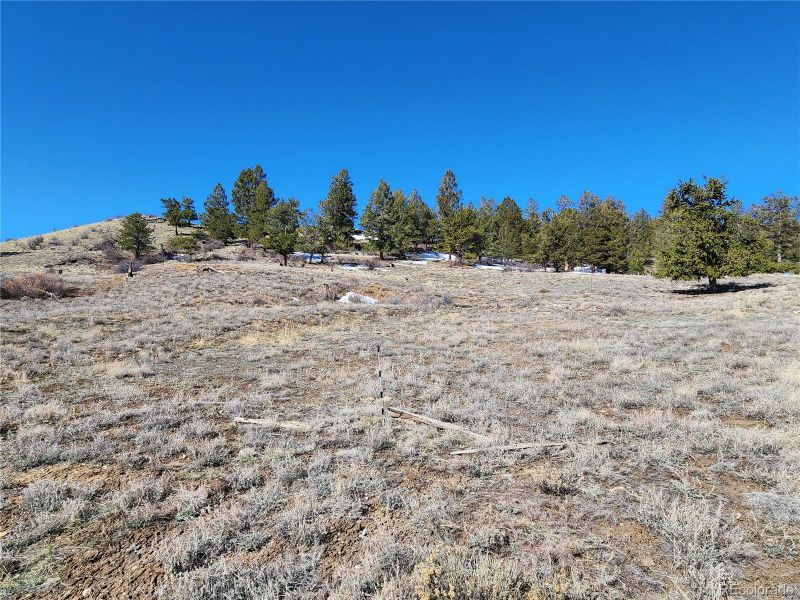 Spruce St, Hartsel, CO 80449