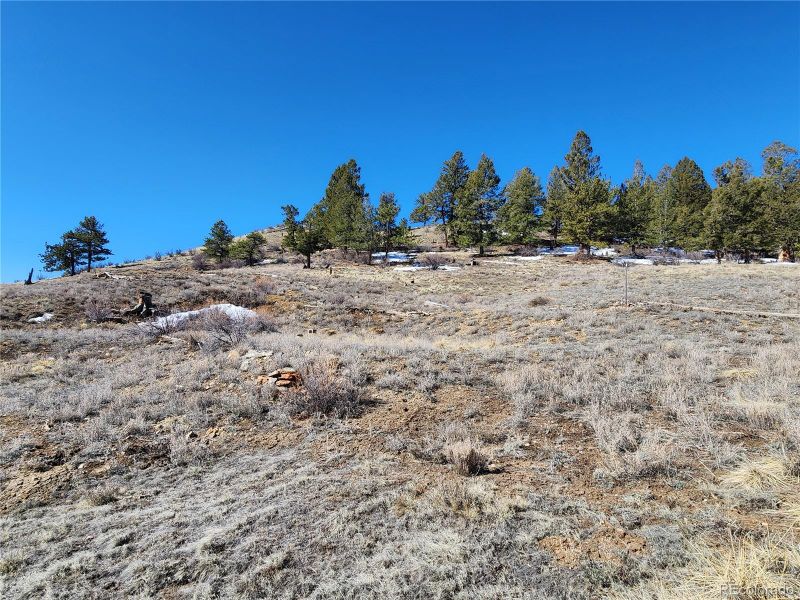 Spruce St, Hartsel, CO 80449