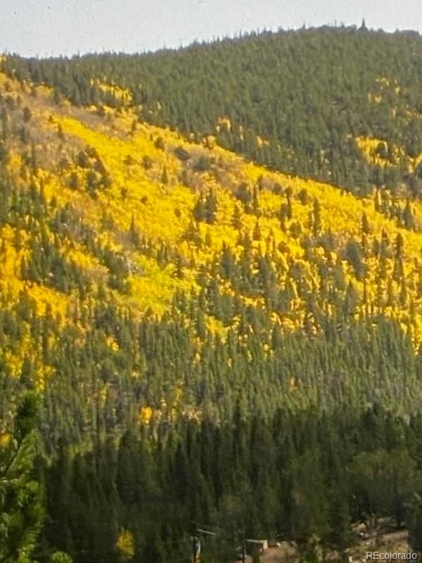 Lot 876 Unit 5, Idaho Springs, CO 80452