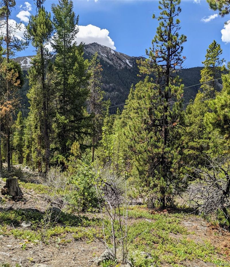 10361 E State Highway 82, Twin Lakes, CO 81251
