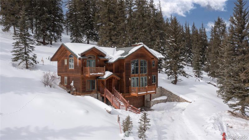 63 Long Bow Ln, Dillon, CO 80435