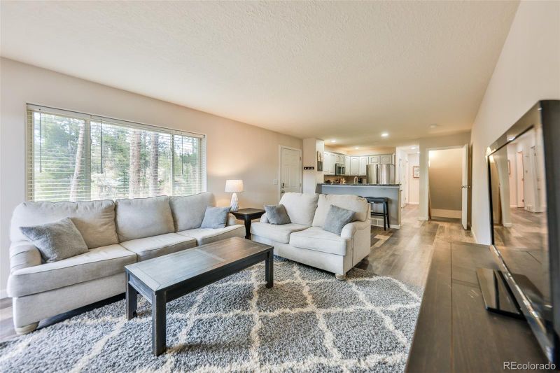 822 Badger Ln, Fraser, CO 80442