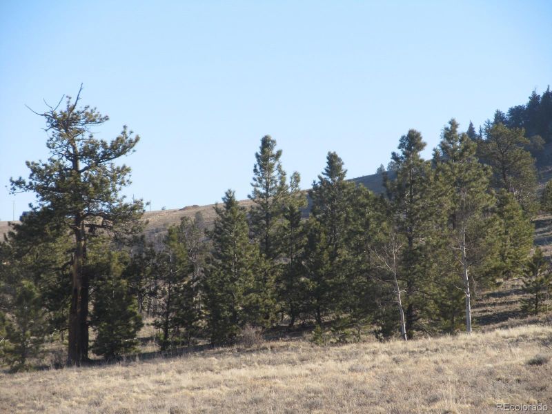 Lot 5896 Cohonina Rd Lot 5896, Hartsel, CO 80449
