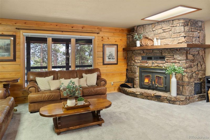 30301 Timberline Dr, Buena Vista, CO 81211