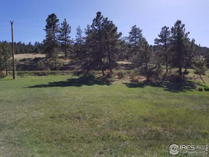 152 Mount Everest Dr, Livermore, CO 80536