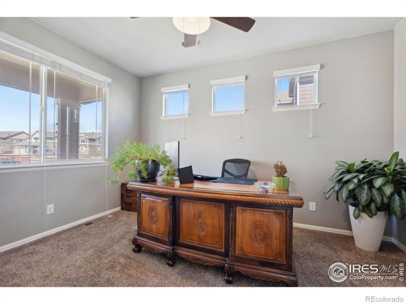 6139 Gannet Dr, Timnath, CO 80547