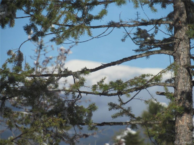 10149 Hutch Ln, Conifer, CO 80433