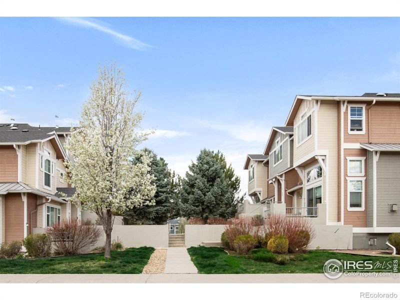 4206 Riley Dr, Longmont, CO 80503