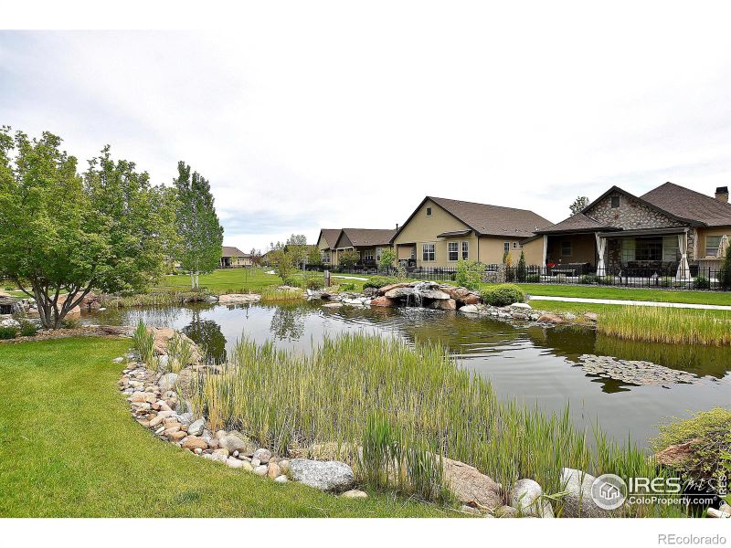 2074 Vineyard Dr, Windsor, CO 80550