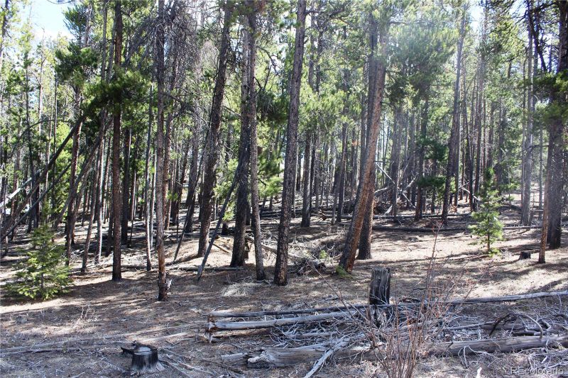 5337 Hwy 72, Black Hawk, CO 80422