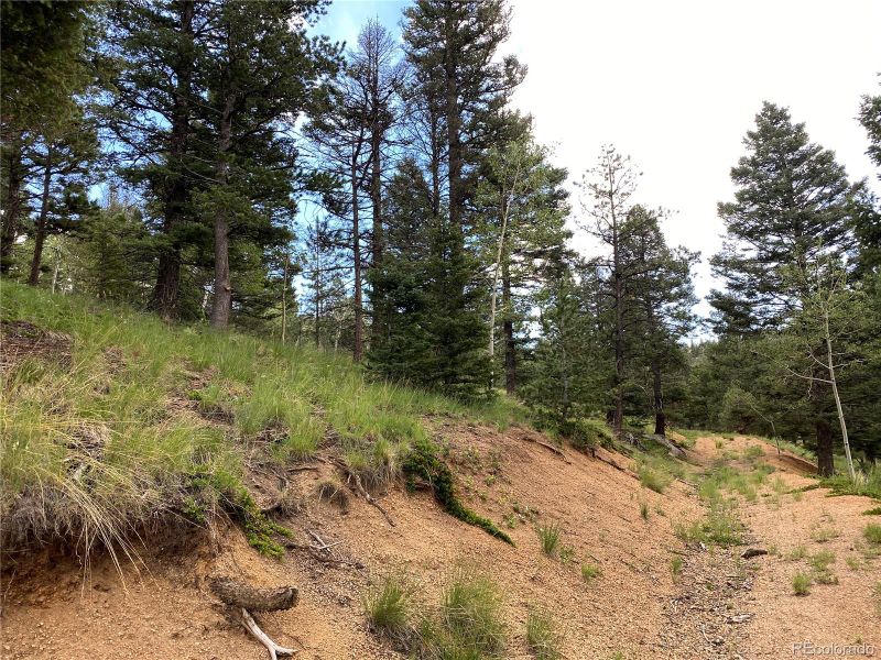 289 Methusela Rd, Manitou Springs, CO 80829