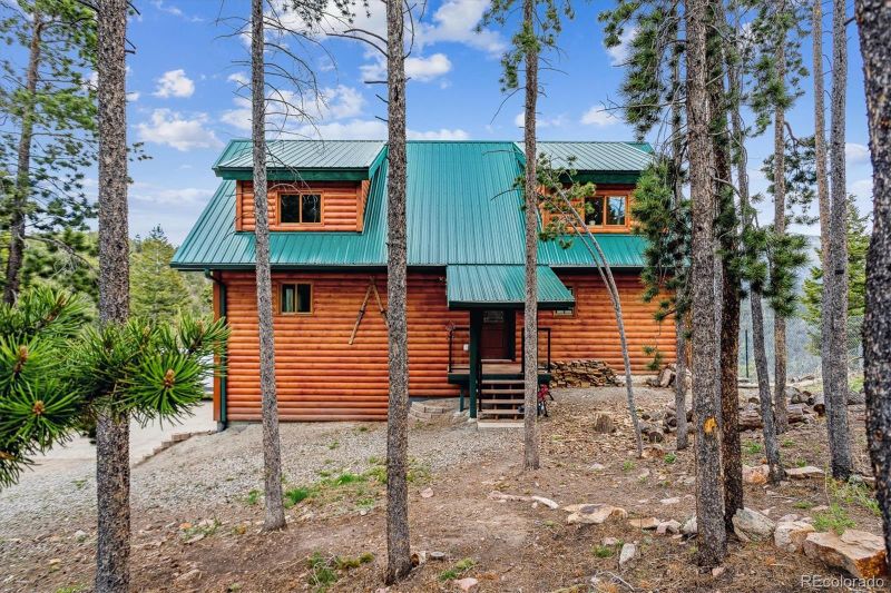 342 Goat Trl, Idaho Springs, CO 80452