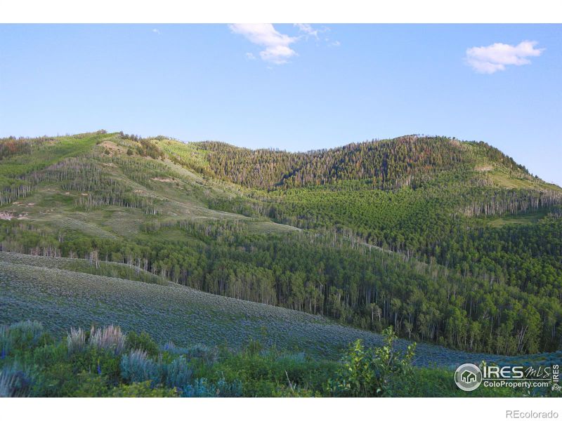 17261 County Road 2, Kremmling, CO 80459