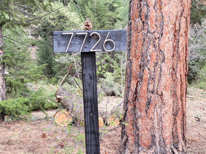 7726 S Settlers Dr, Morrison, CO 80465