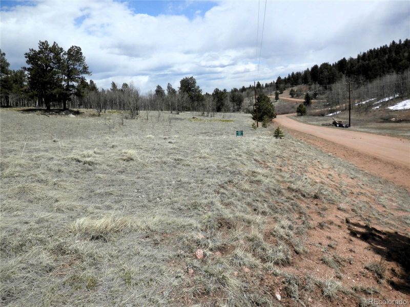 47 Hidden Valley Dr Lot 669, Florissant, CO 80816