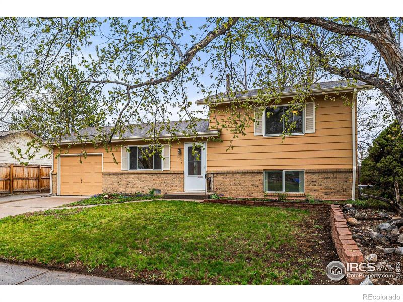 521 10th St, Windsor, CO 80550
