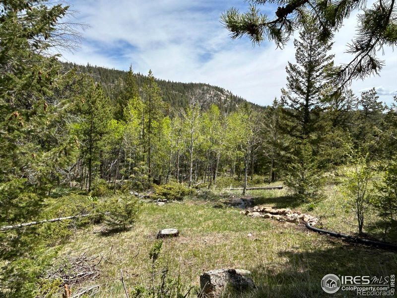6 Inca Ct, Red Feather Lakes, CO 80545