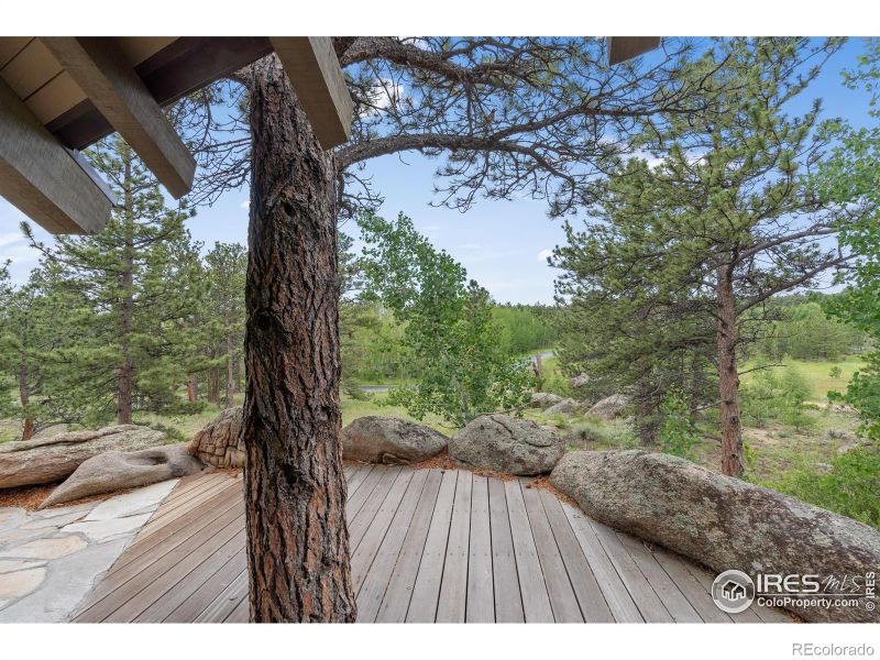 1576 County Road 67j, Red Feather Lakes, CO 80545