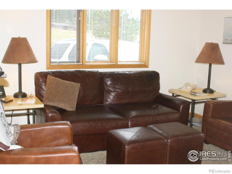 1565 Highway 66 #47, Estes Park, CO 80517