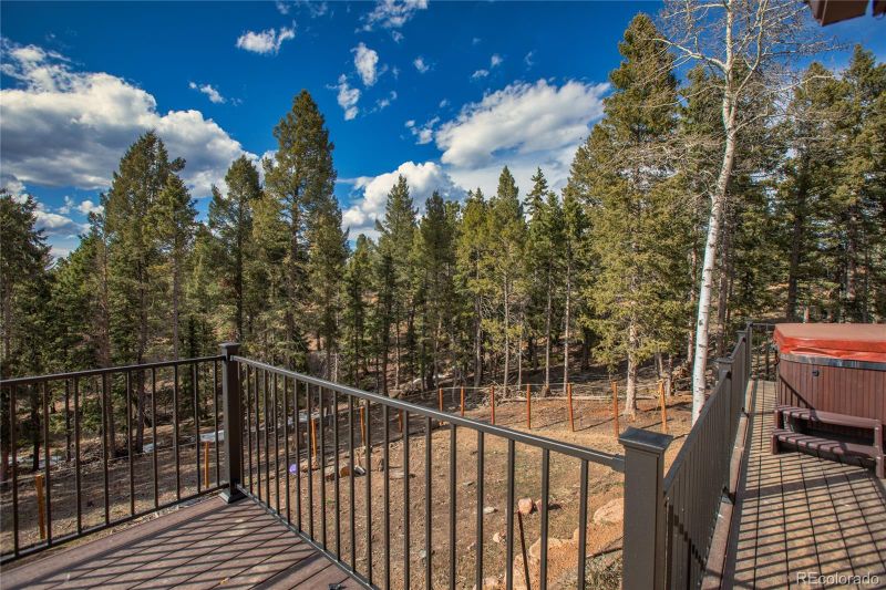 342 Blue Mesa Dr, Divide, CO 80814