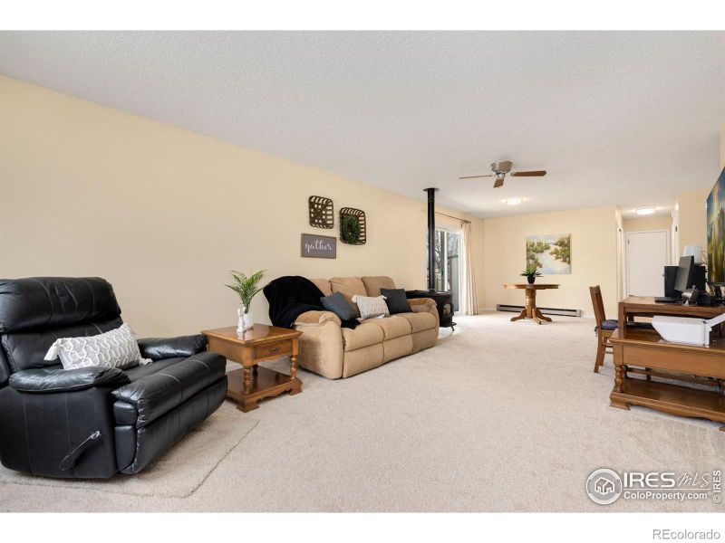 4139 Hayes Cir, Wellington, CO 80549