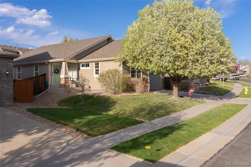16203 E 104th Way, Commerce City, CO 80022
