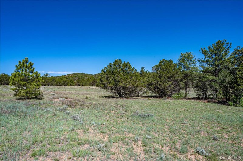 213 Thunderbird Rd, Cotopaxi, CO 81223