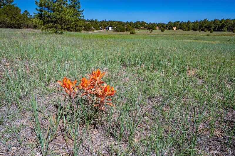 213 Thunderbird Rd, Cotopaxi, CO 81223