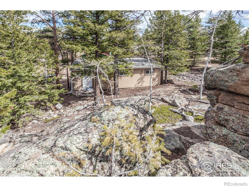 41 Totem Pole Ln, Red Feather Lakes, CO 80545