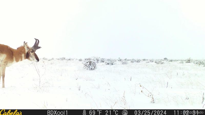 County Road 93 9, Model, CO 81059
