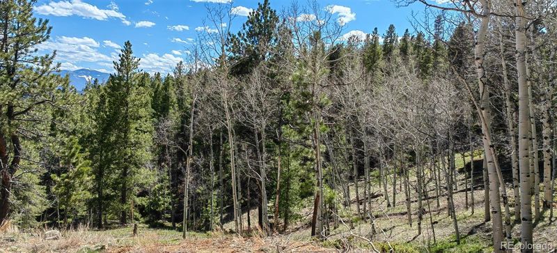 2489 Coyote Cir Lot 6, Black Hawk, CO 80422