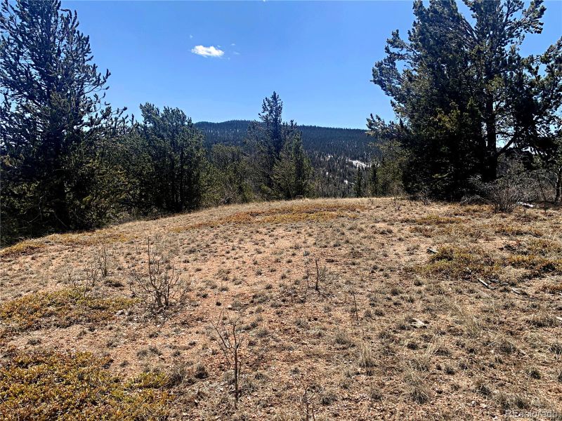 516 Fairview Dr, Cripple Creek, CO 80813