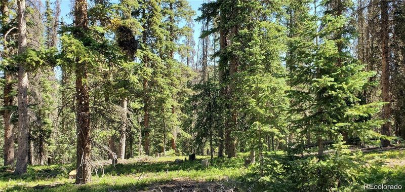 6512 Doyle Rd Lot 6512, San Luis, CO 81152