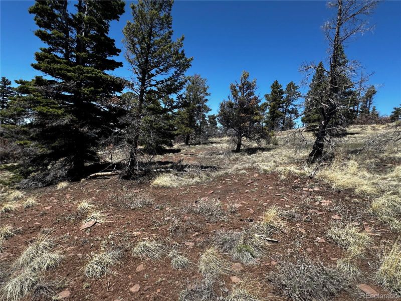 342 Brophy Dr Lot 342, Fort Garland, CO 81133