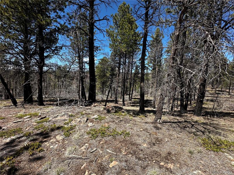 343 Brophy Dr Lot 343, Fort Garland, CO 81133
