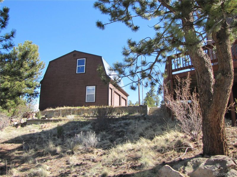 156 Ladigo Ln, Hartsel, CO 80449