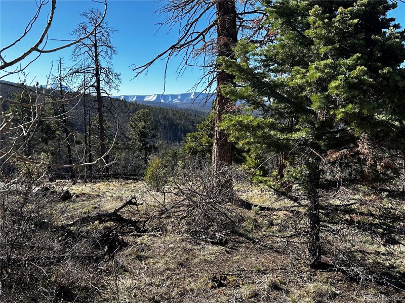 357 Brophy Dr Lot 357, Fort Garland, CO 81133