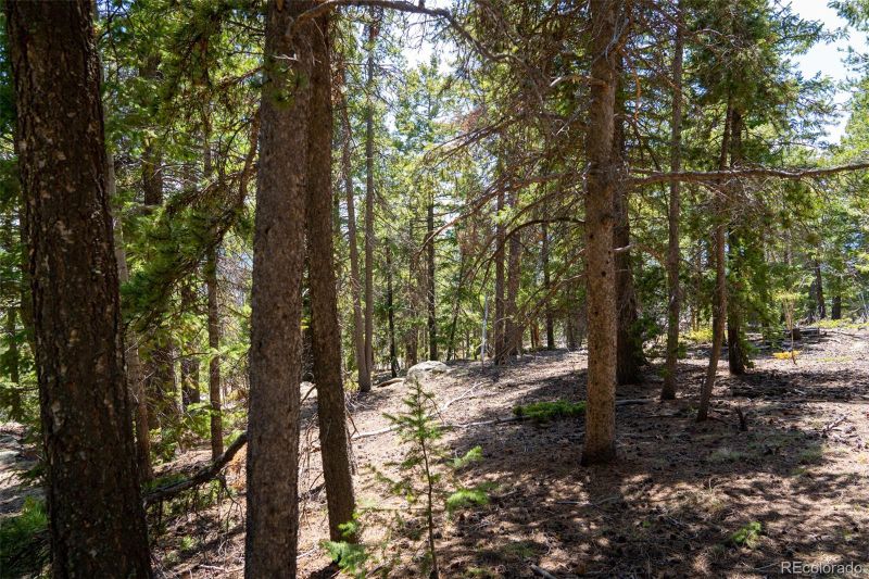 31151 Pike View Dr Lot 8, Conifer, CO 80433