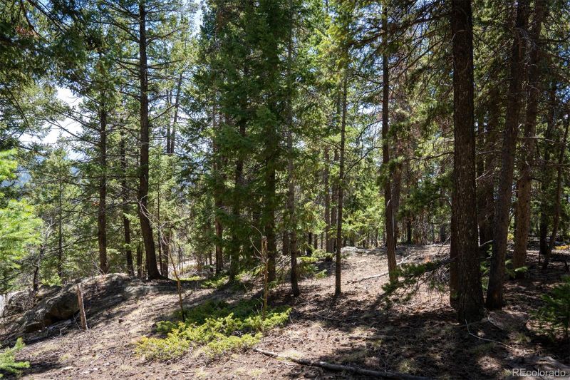 31151 Pike View Dr Lot 8, Conifer, CO 80433