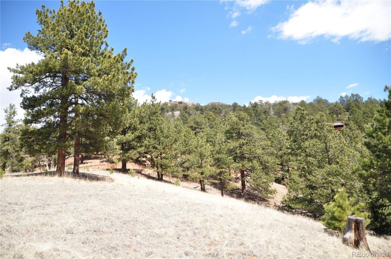 418 Copper Mountain Dr, Cripple Creek, CO 80813