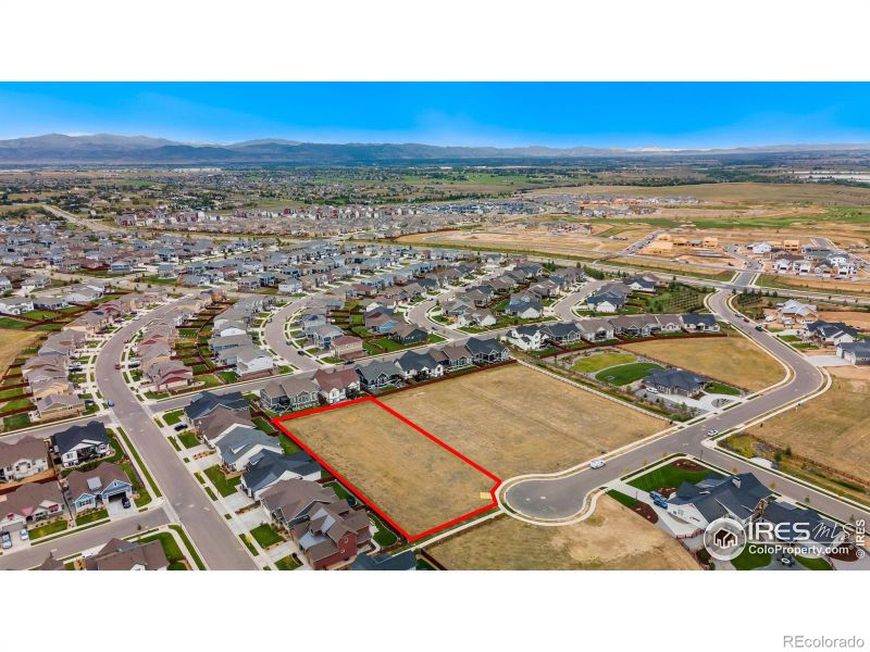 1982 Blossom Grove Ct, Windsor, CO 80550
