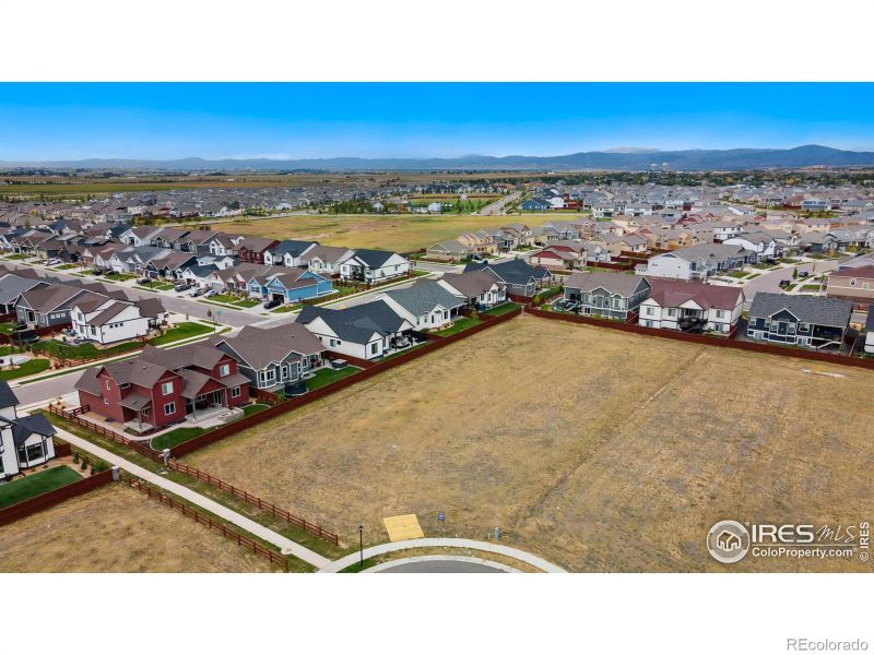 1982 Blossom Grove Ct, Windsor, CO 80550