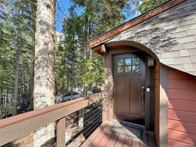 230 Balsh Blvd, Fraser, CO 80442